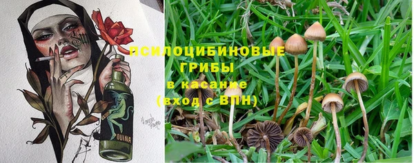 мефедрон Заводоуковск