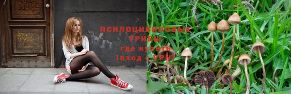 трава Заволжье